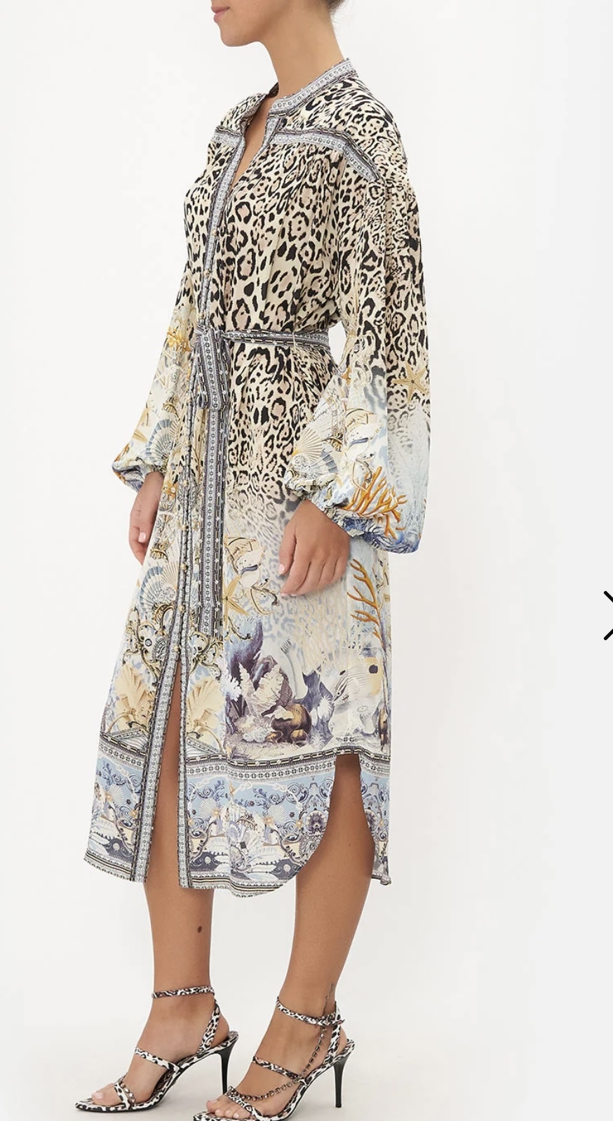 Camilla Other to loan