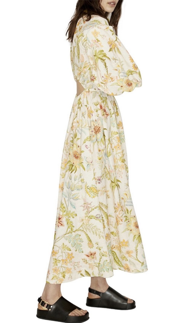 Hire a Green Amelius