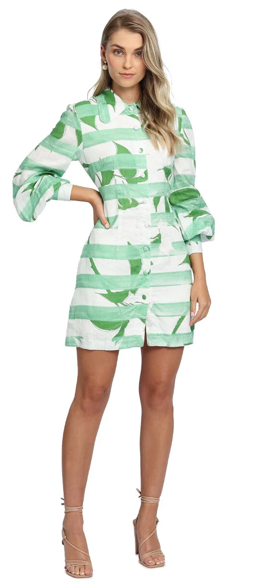 Borrow a Green Leo And Lin