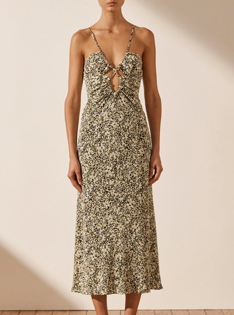 Shona Joy Print to borrow