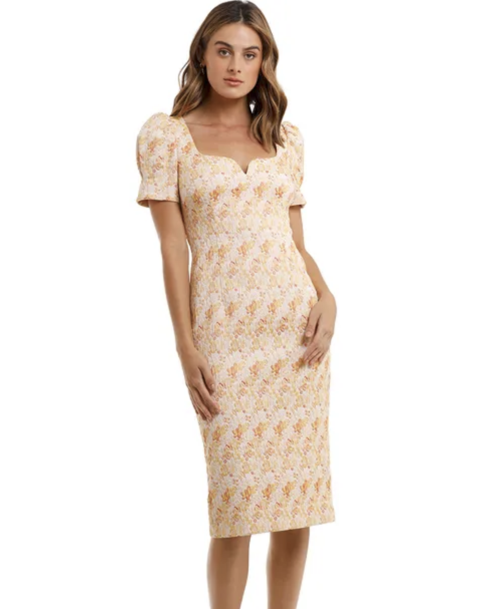 Borrow a Rebecca Vallance Amber Midi