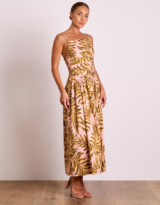 Hire a Pink Pasduchas