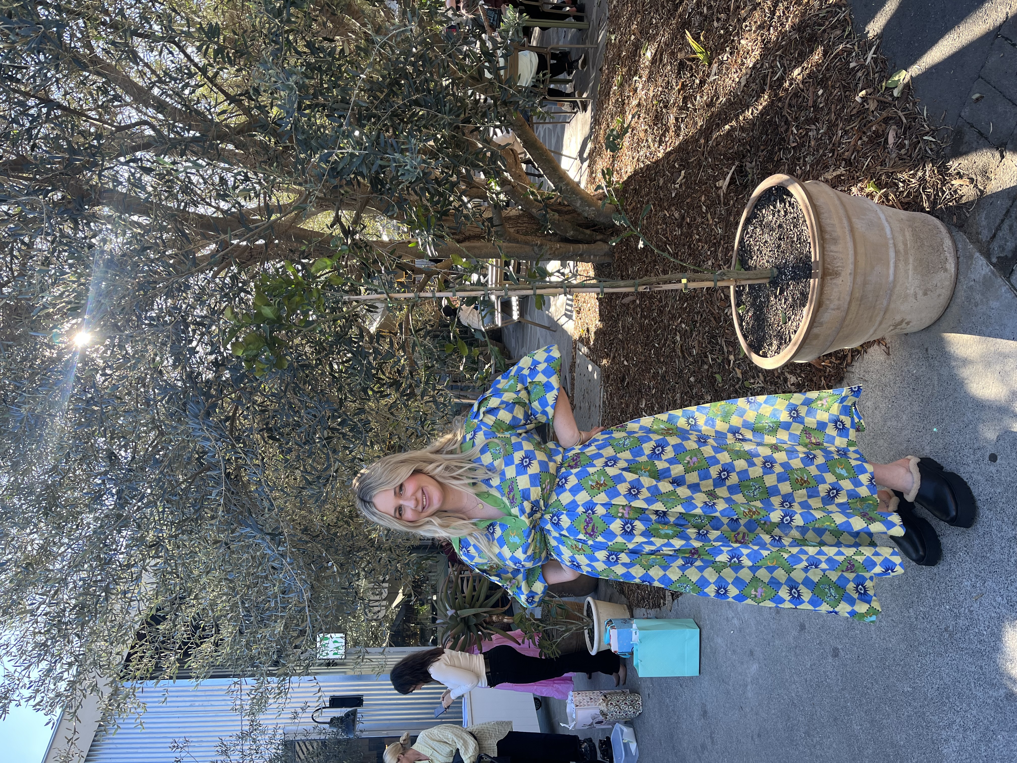 Alemais Blue to borrow