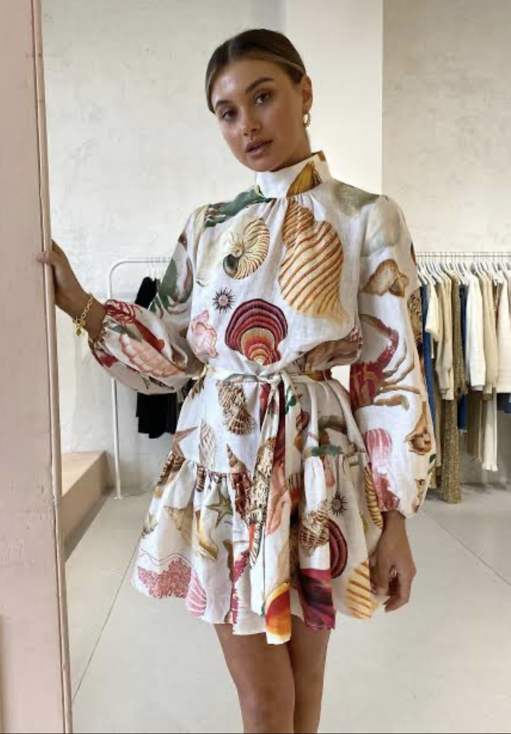 Rental Other Alemais