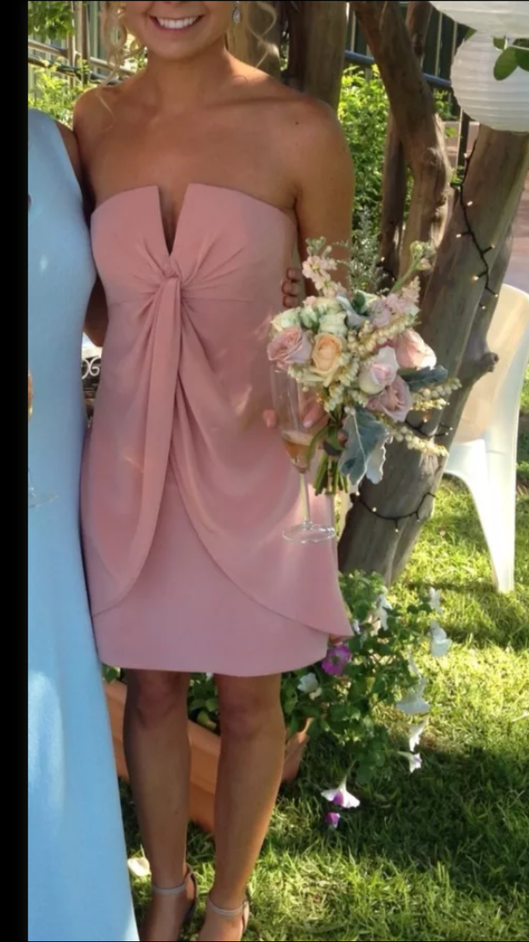 Zimmermann Pink for hire