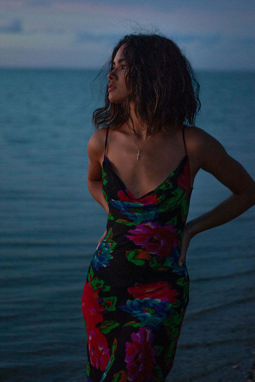 Rat And Boa Other to loan