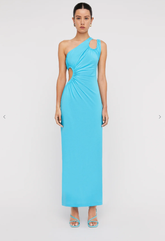 Scanlan Theodore Blue to borrow