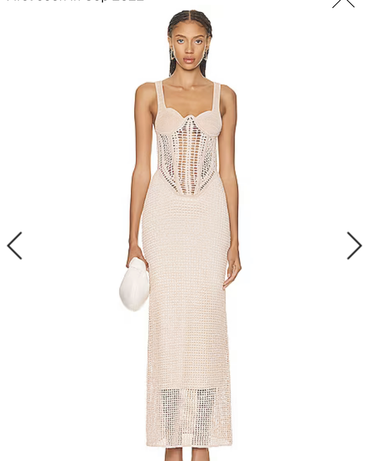 Designer rental Other Dion Lee