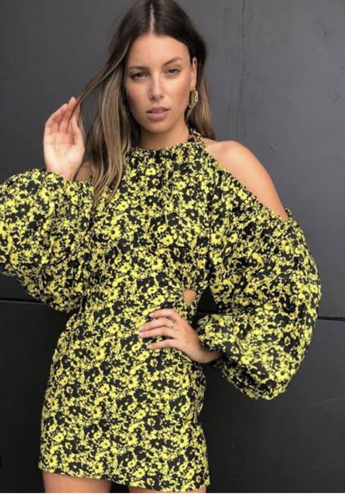 Borrow a Camilla And Marc Monet Mini Dress