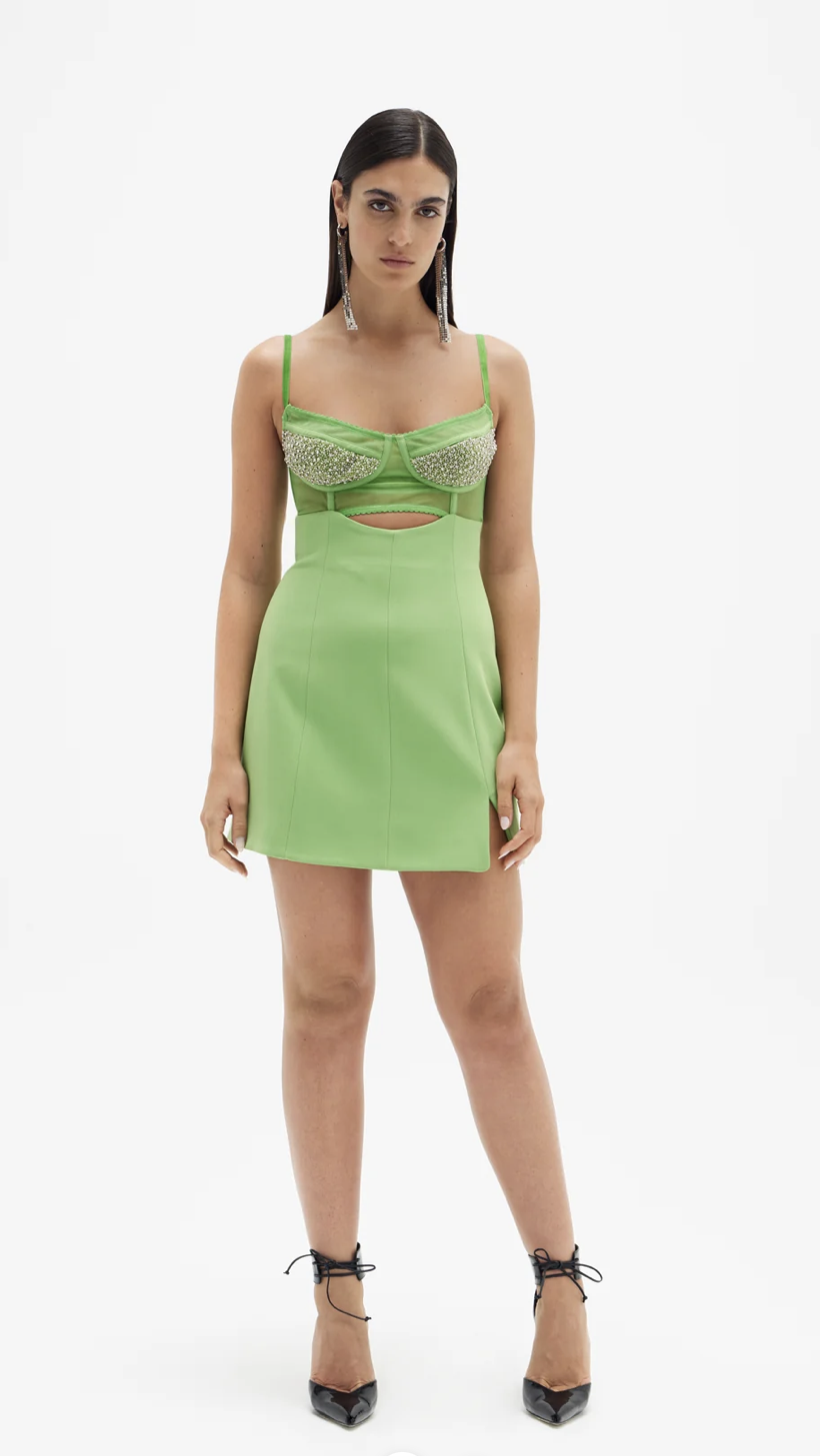 Rent a Green Rachel Gilbert