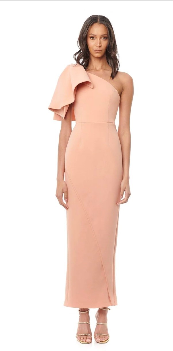 For rent a Eliyah The Label Delta Gown