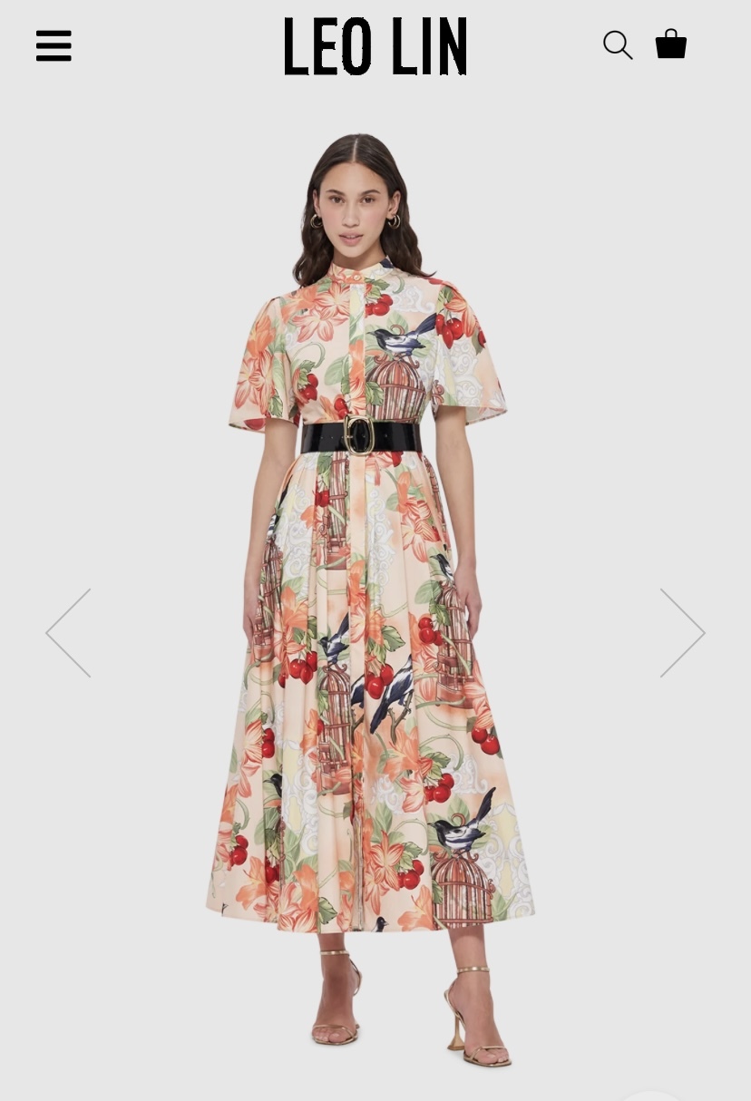 Leo Lin Other to lend