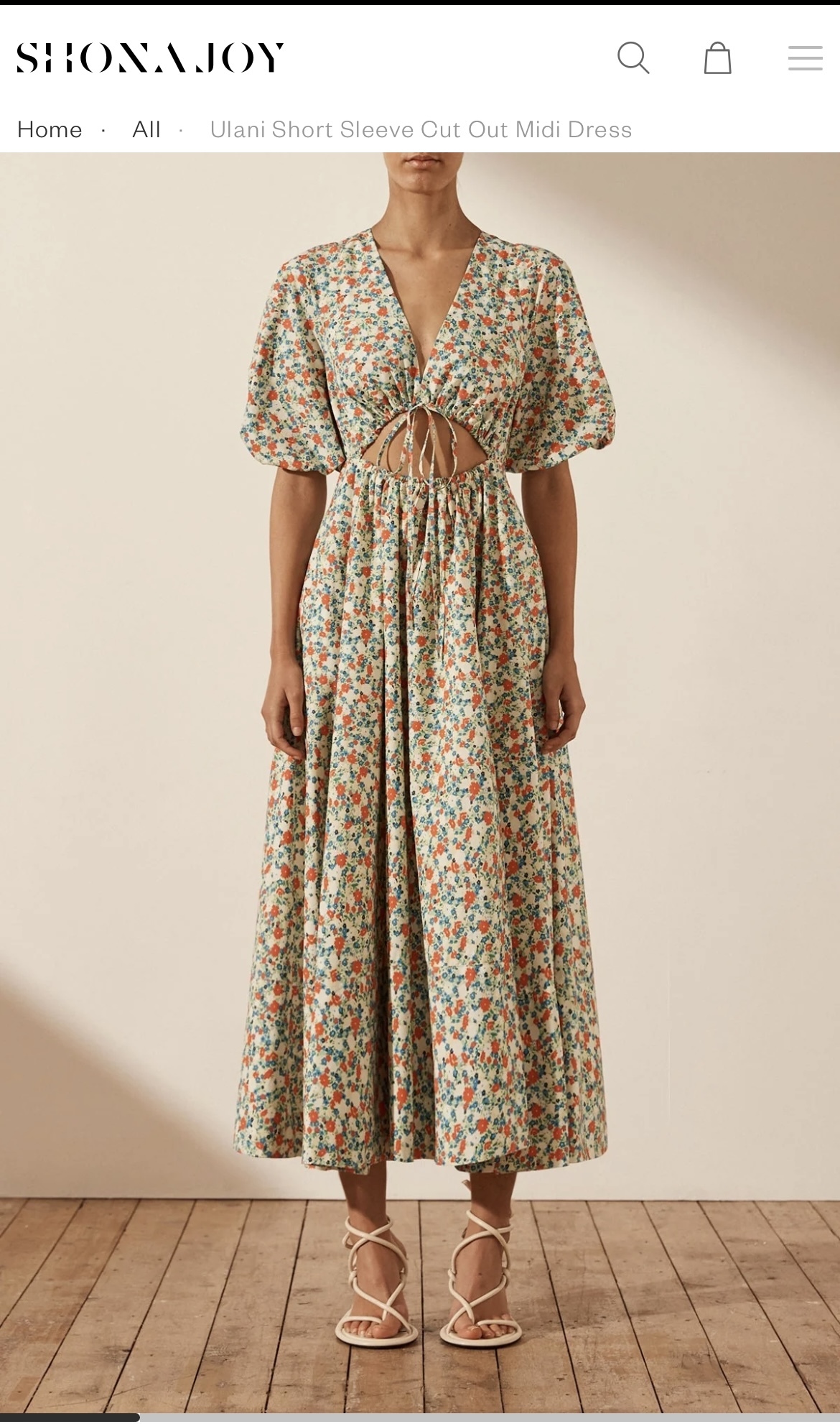 Shona Joy Print to loan