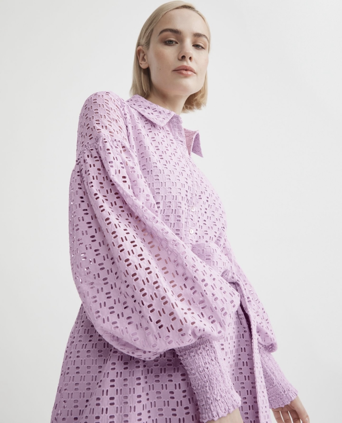 Borrow a Witchery Broderie Shirt Dress