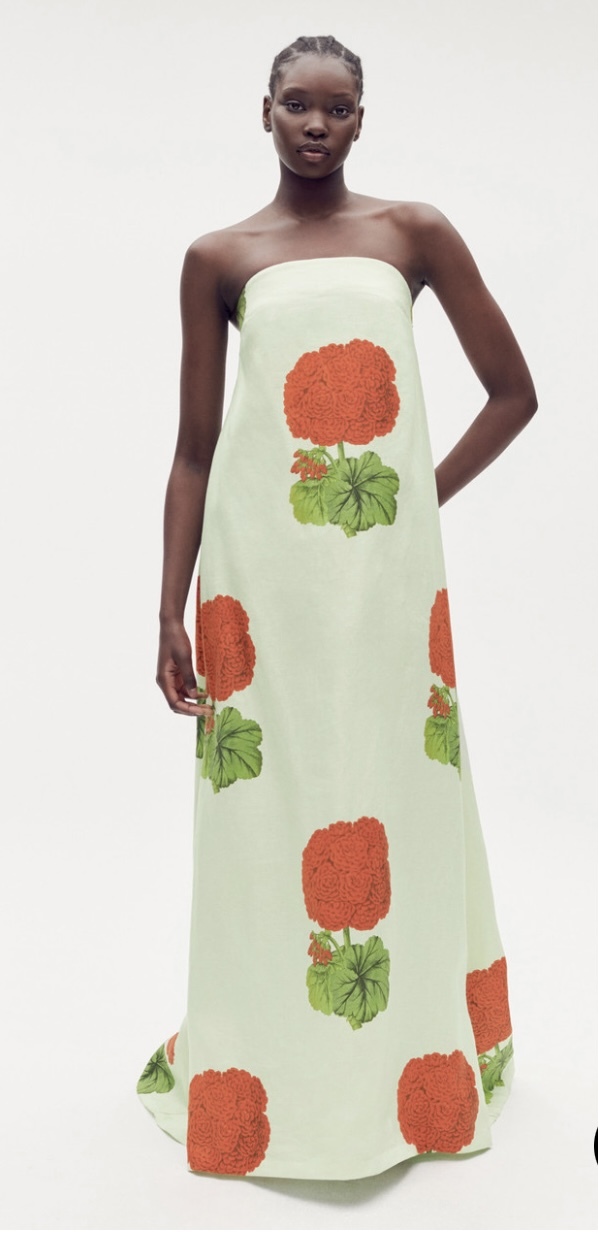 Formal rental Oroton Posie Geranium Gown