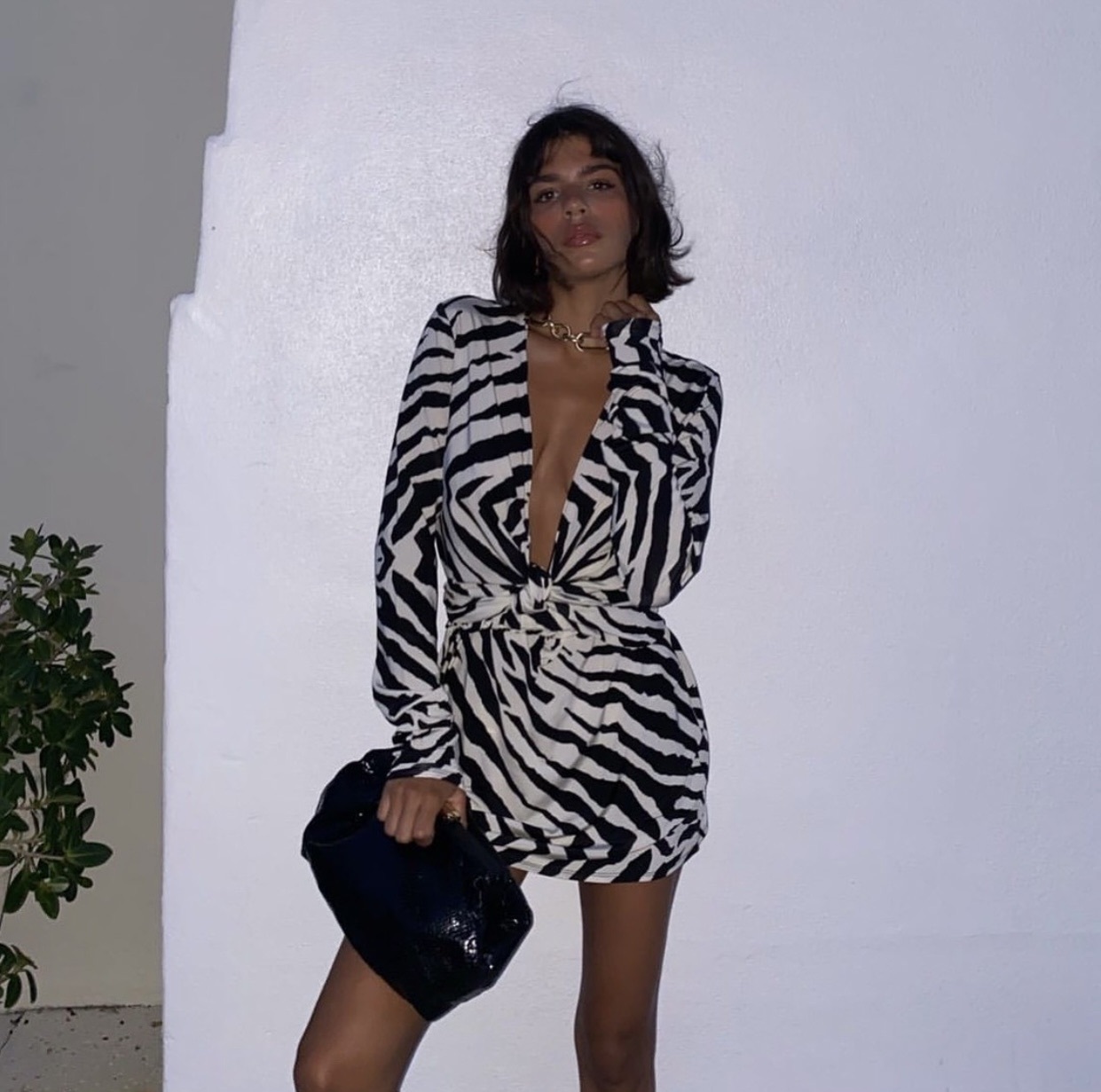 Rat & Boa Other to borrow