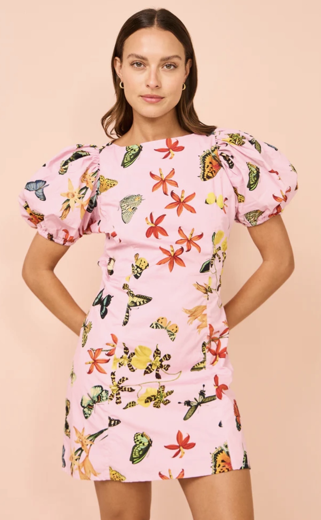 For rent a Ambra Maddalena Amelia Bubble Dress In Butterfly Garden