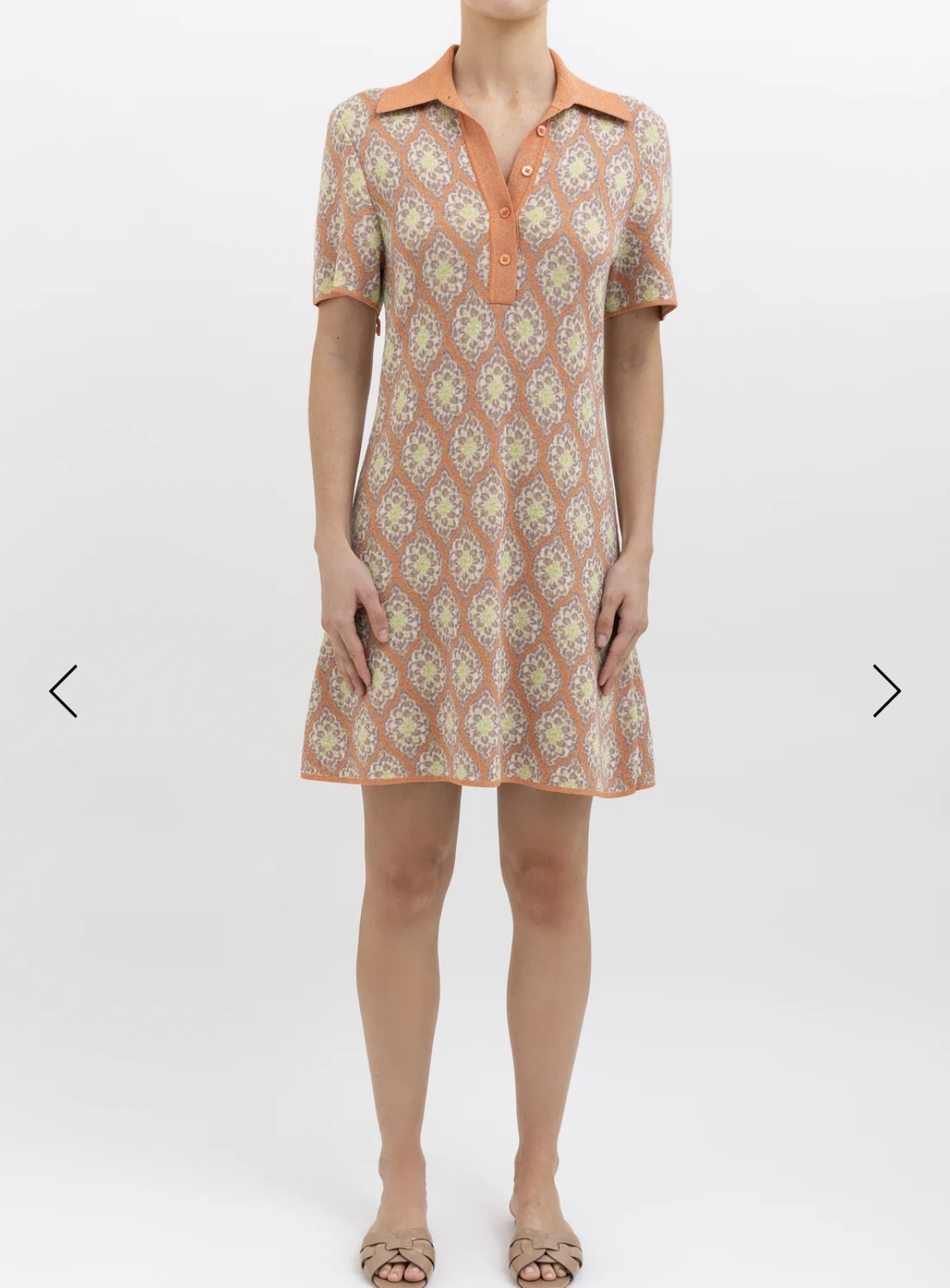 Rent a Other Scanlan Theodore