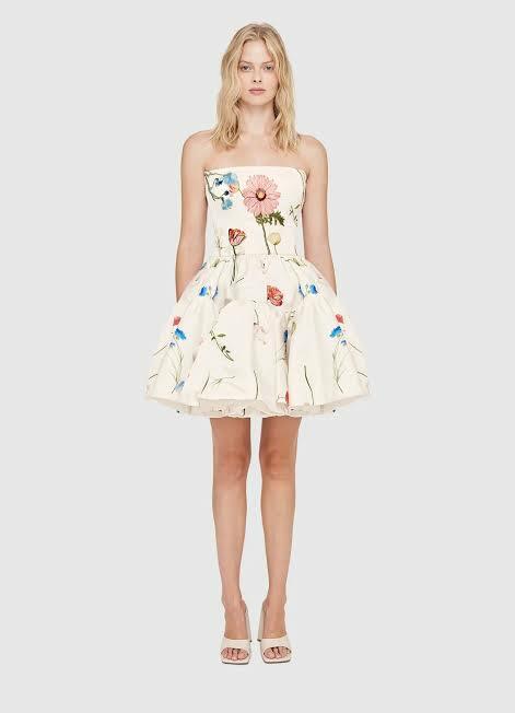 Borrow a Leo & Lin The Fields Embroidered Bustier Mini Dress