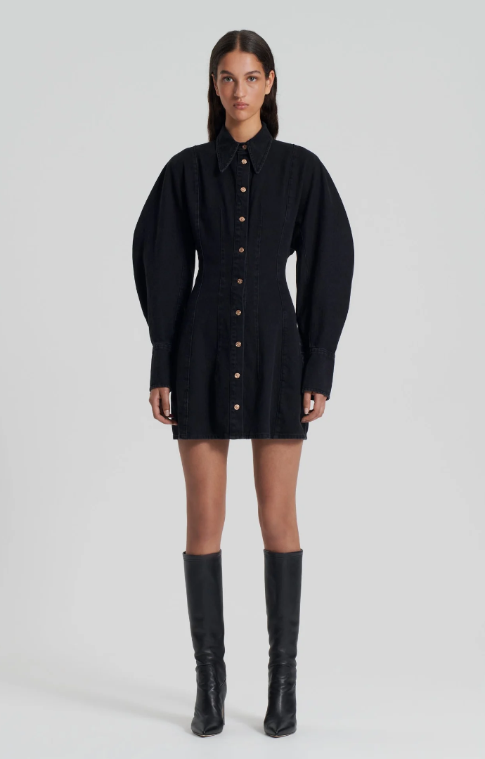 Scanlan Theodore Black to borrow