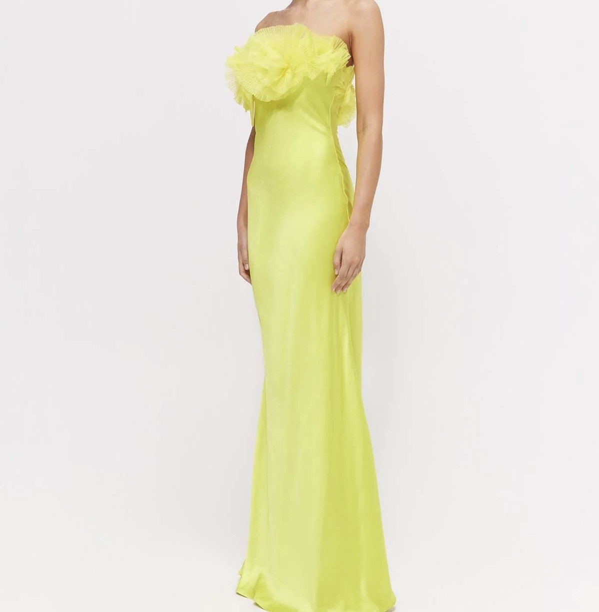 Cheap designer Rachel Gilbert Eyelar Gown