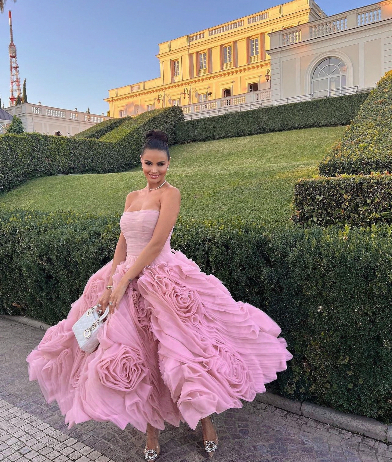 For rent a Milla Dramatically Flowered Tulle