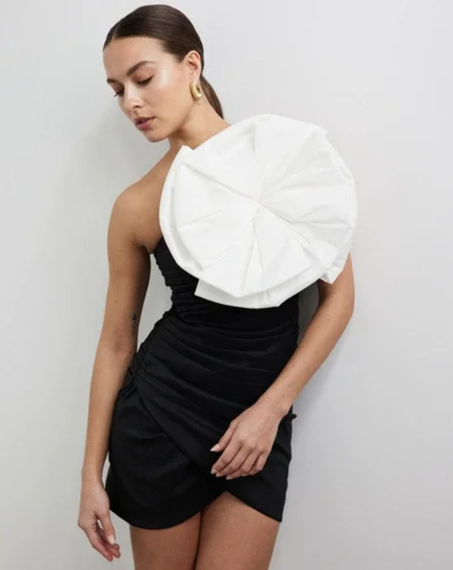 Borrow a Rachel Gilbert Evana