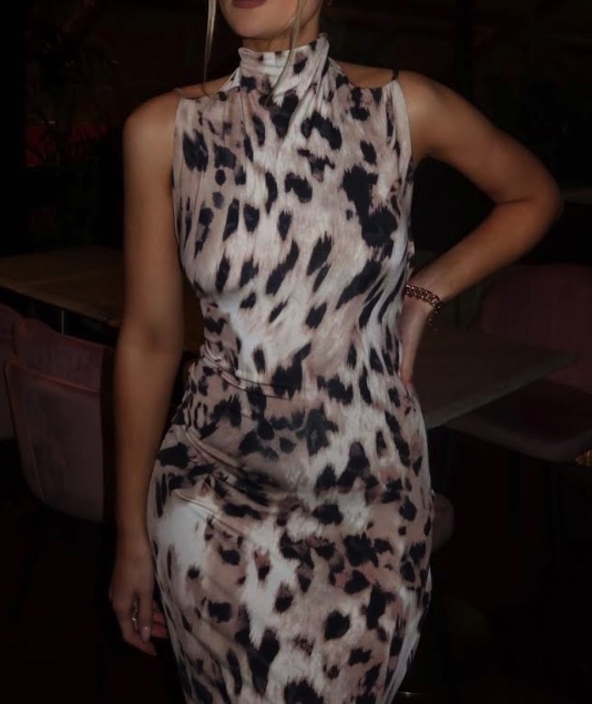 For rent a Novich Leo Gown