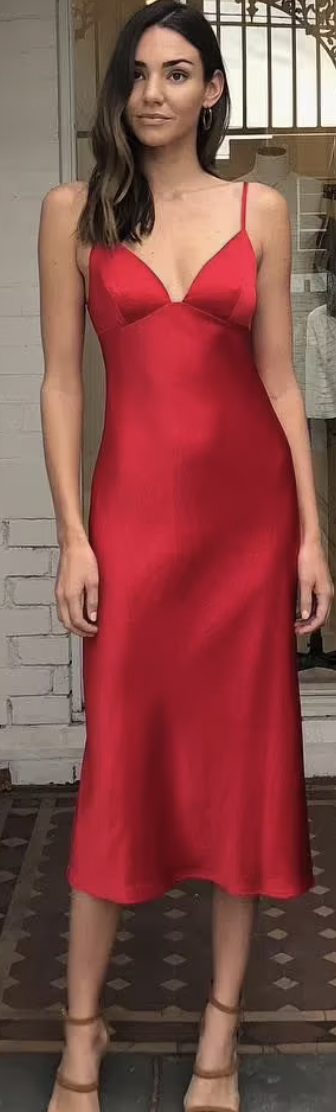 Loan a Shona Joy Adonis Bias Slip Ruby Dress