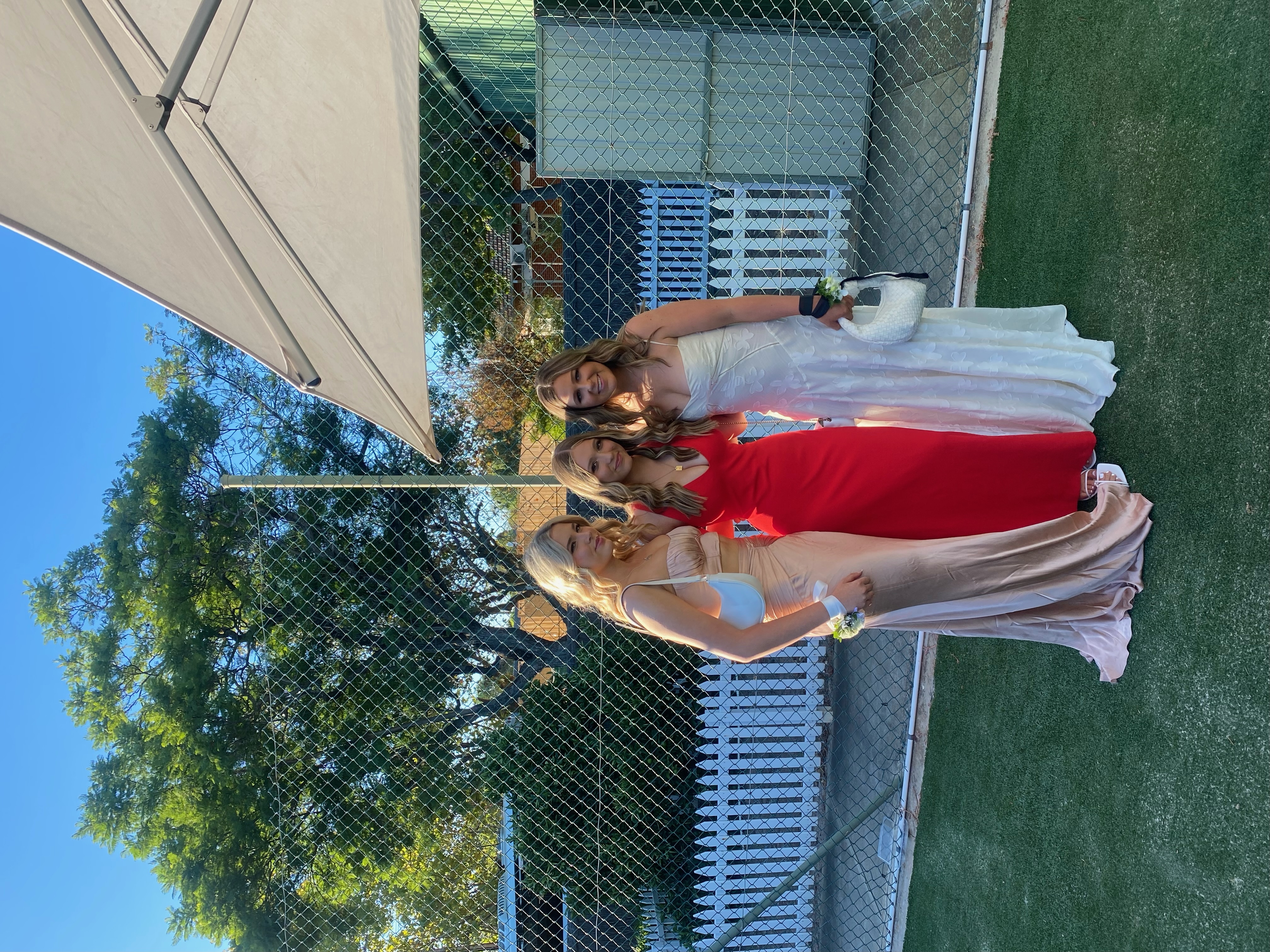 Shona Joy Pink to hire