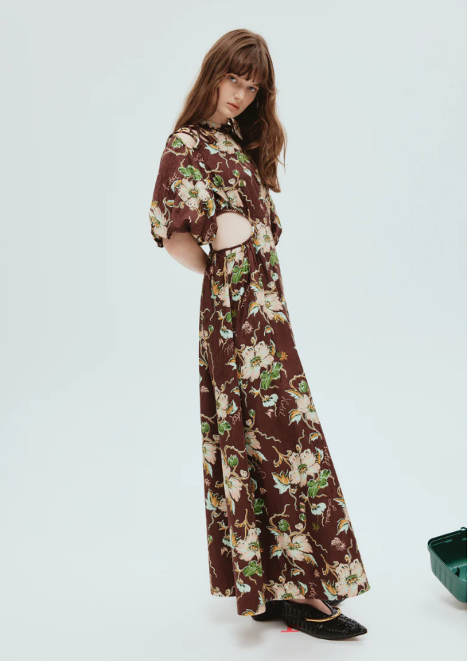 Loan a Brown Alemais