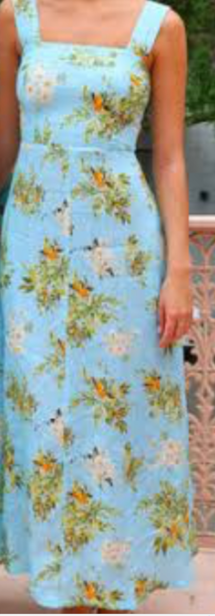 Palm Noosa Blue to lend