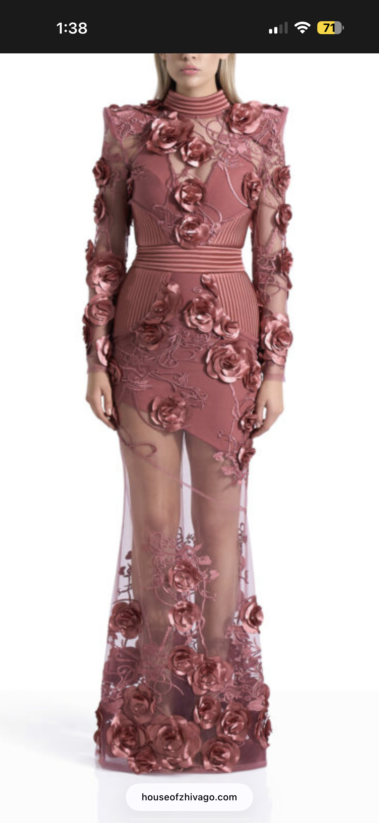 Borrow a Zhivago One More Kiss Dear Gown