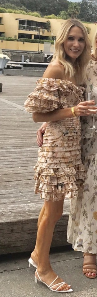 Borrow a Zimmermann Painted Heart Folds Dress