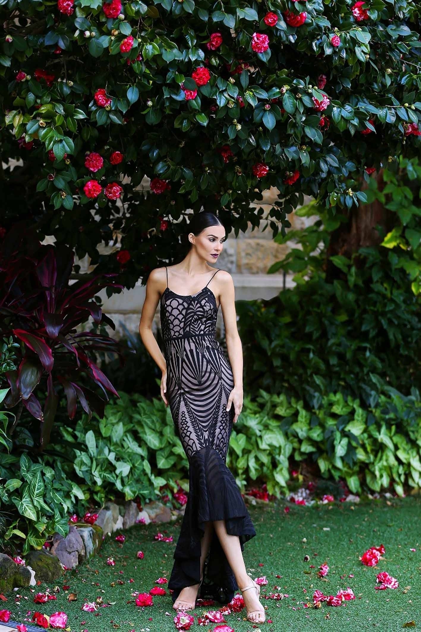 Rent a Elle Zeitoune Zarla