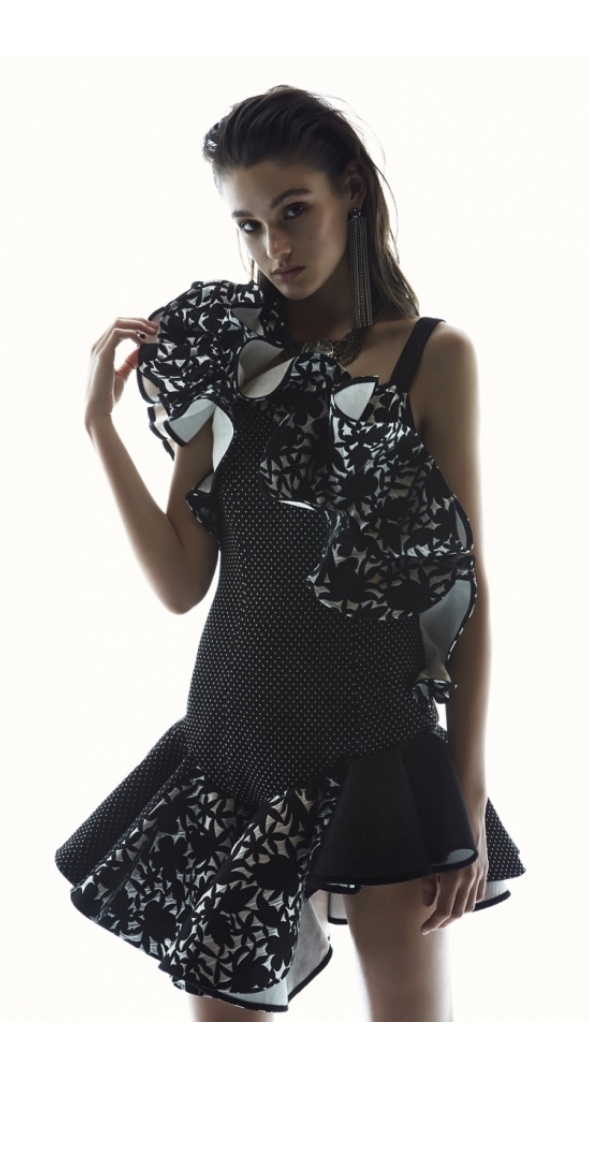 Designer rental Asilio Untamed Heart Dress