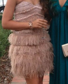 Borrow a Thurley Limited Edition Ostrich Feather Dress