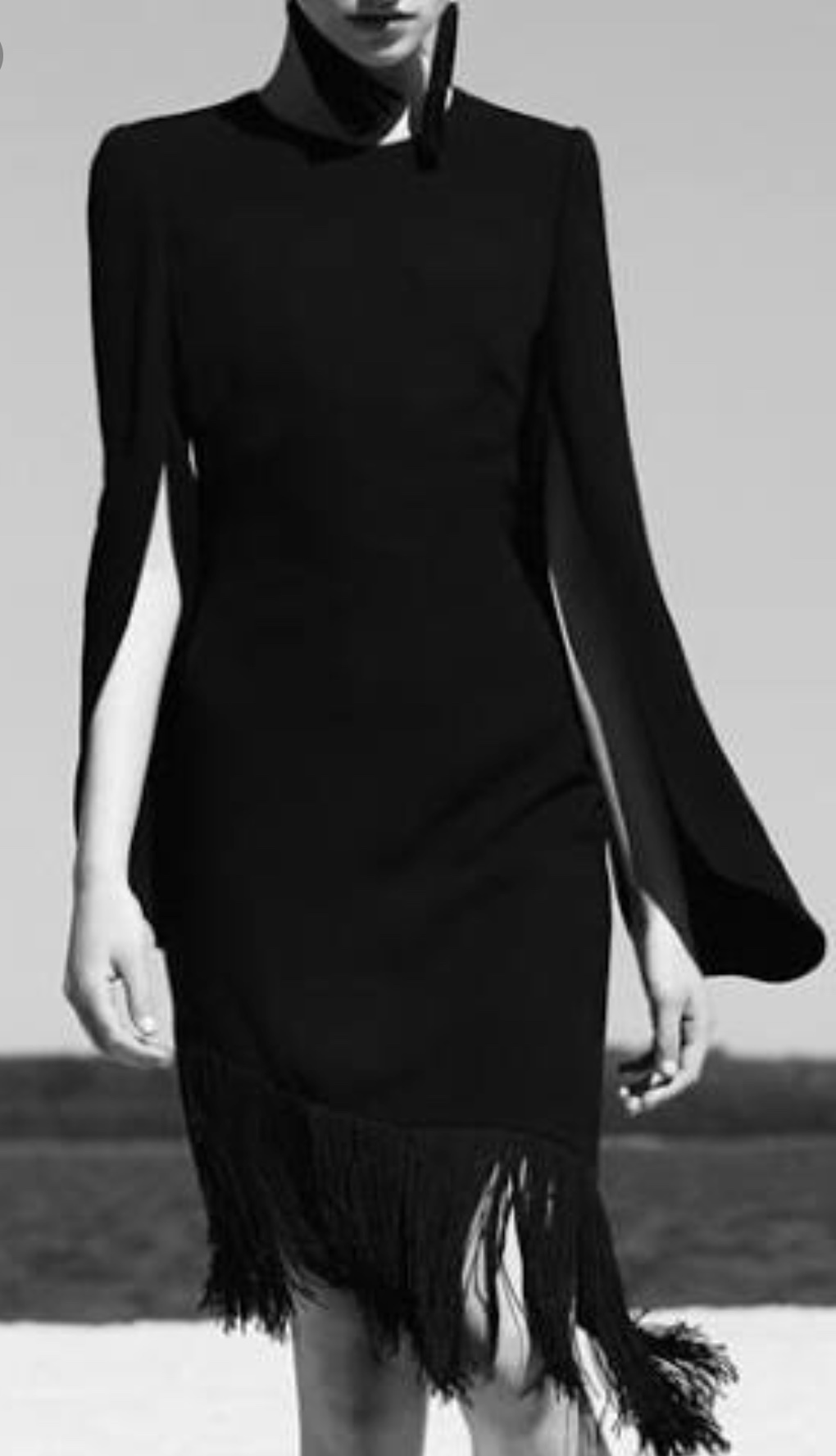 Carla Zampatti Black to borrow