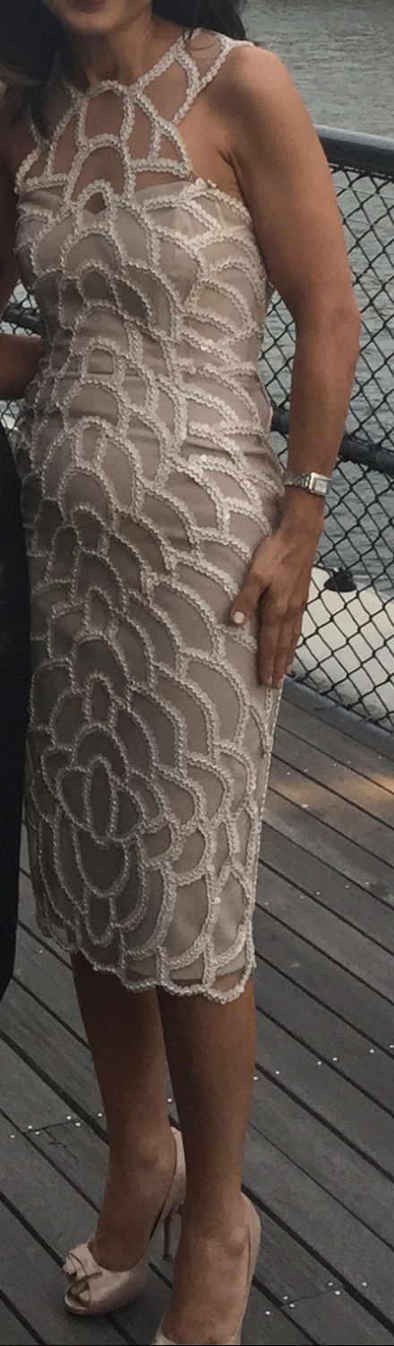 Rachel Gilbert Beige for rent