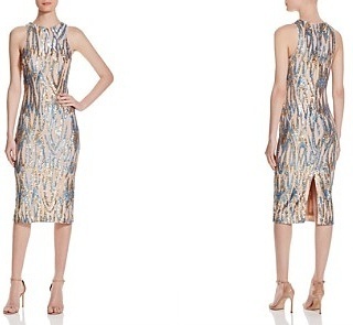 Rent a Dress The Population Shawn Dress