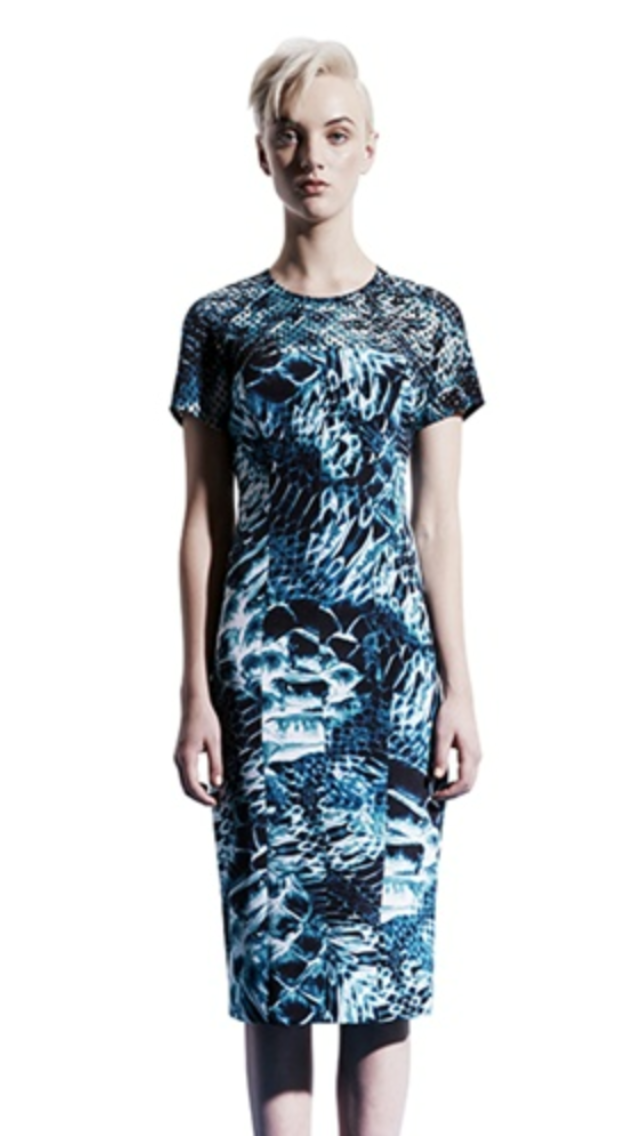 For rent a Ginger & Smart Dress