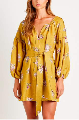 Steele Yellow to rent