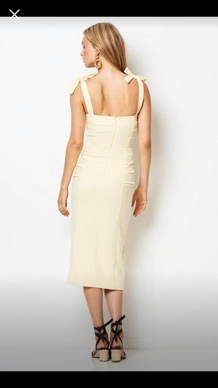 Formal rental Bec & Bridge Dress