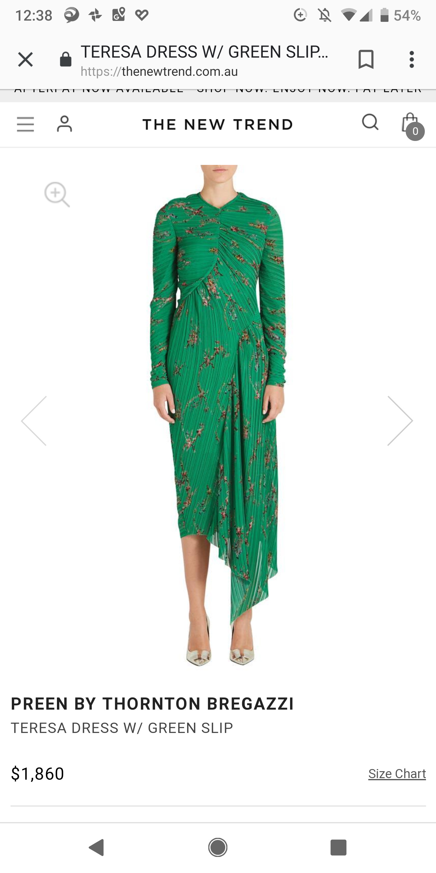 Preen By Thornton Bregazzi Print for hire