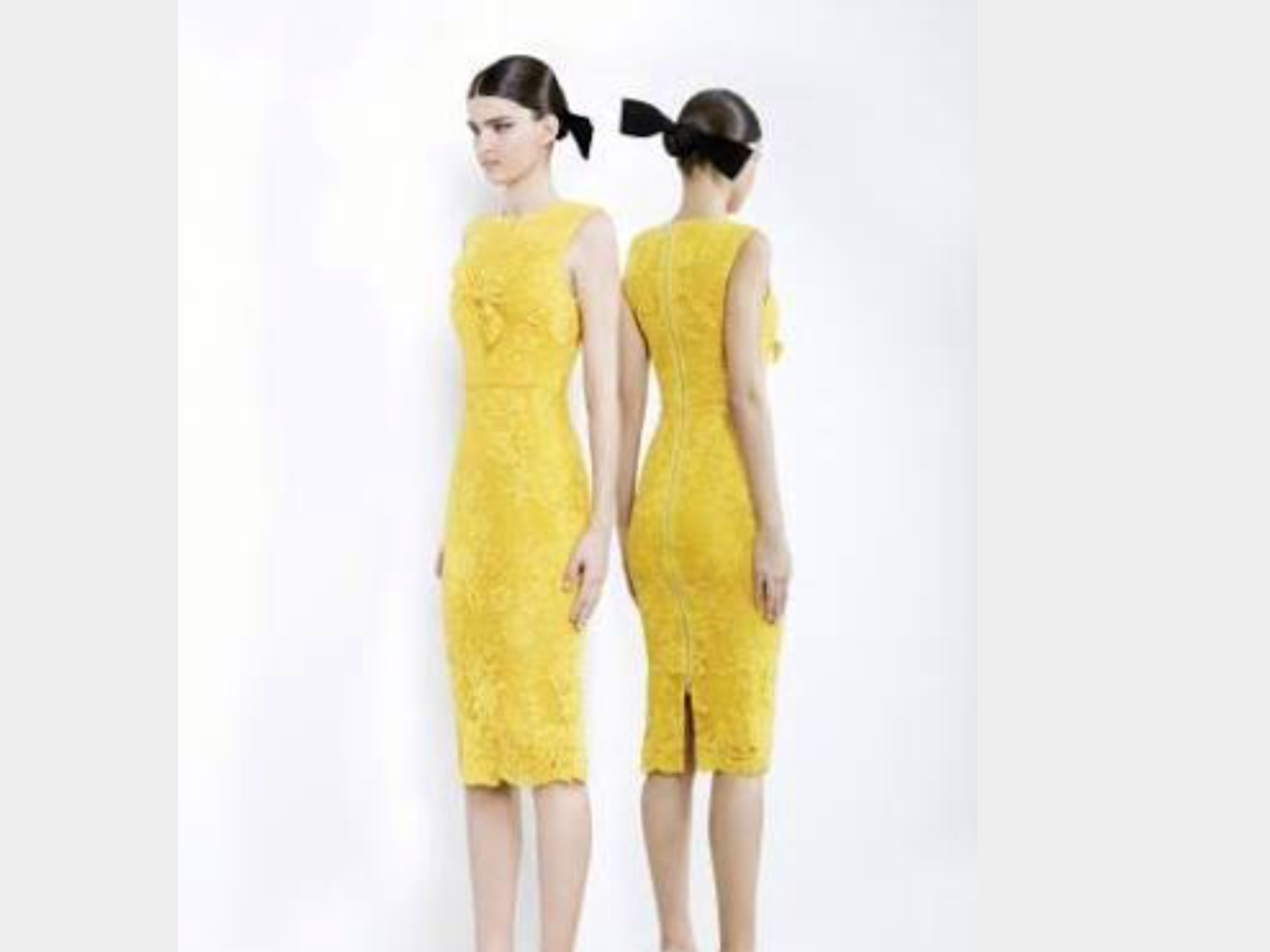 Borrow a Alex Perry Lace Dress