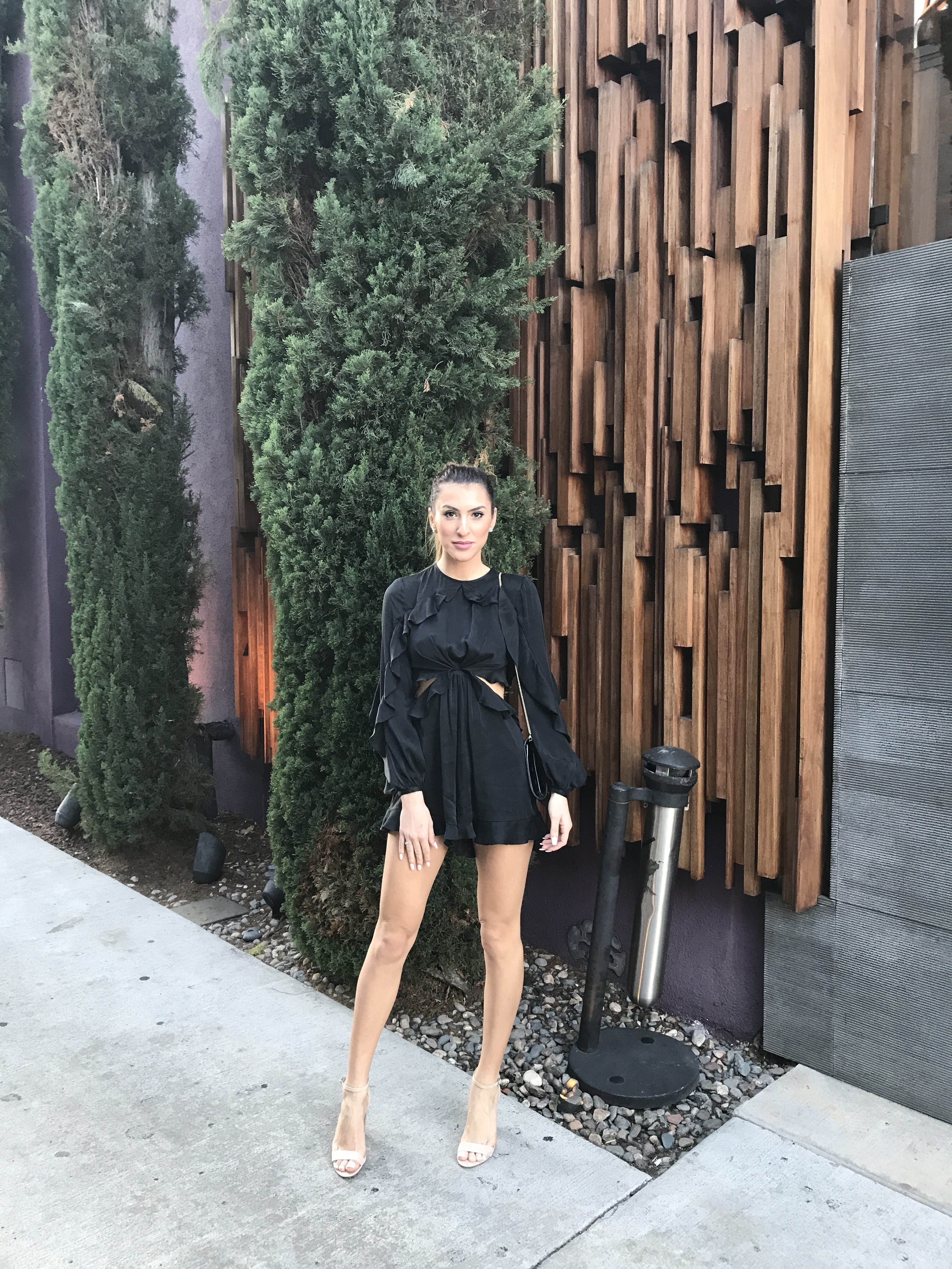 Rent a Zimmermann Winsome Flutter Open Back Playsuit