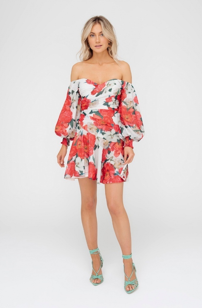 Sheike Print for loan