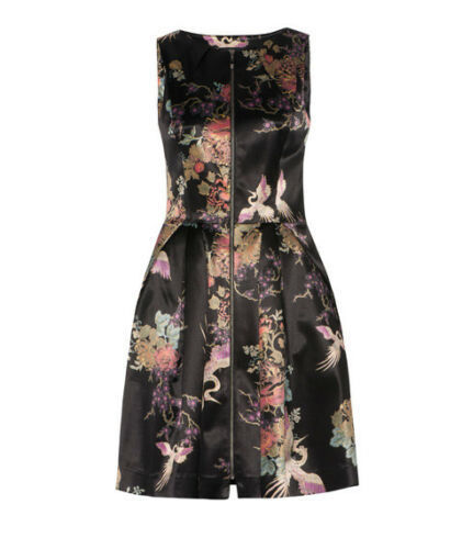 Rent a Cue Crane Oriental Dress