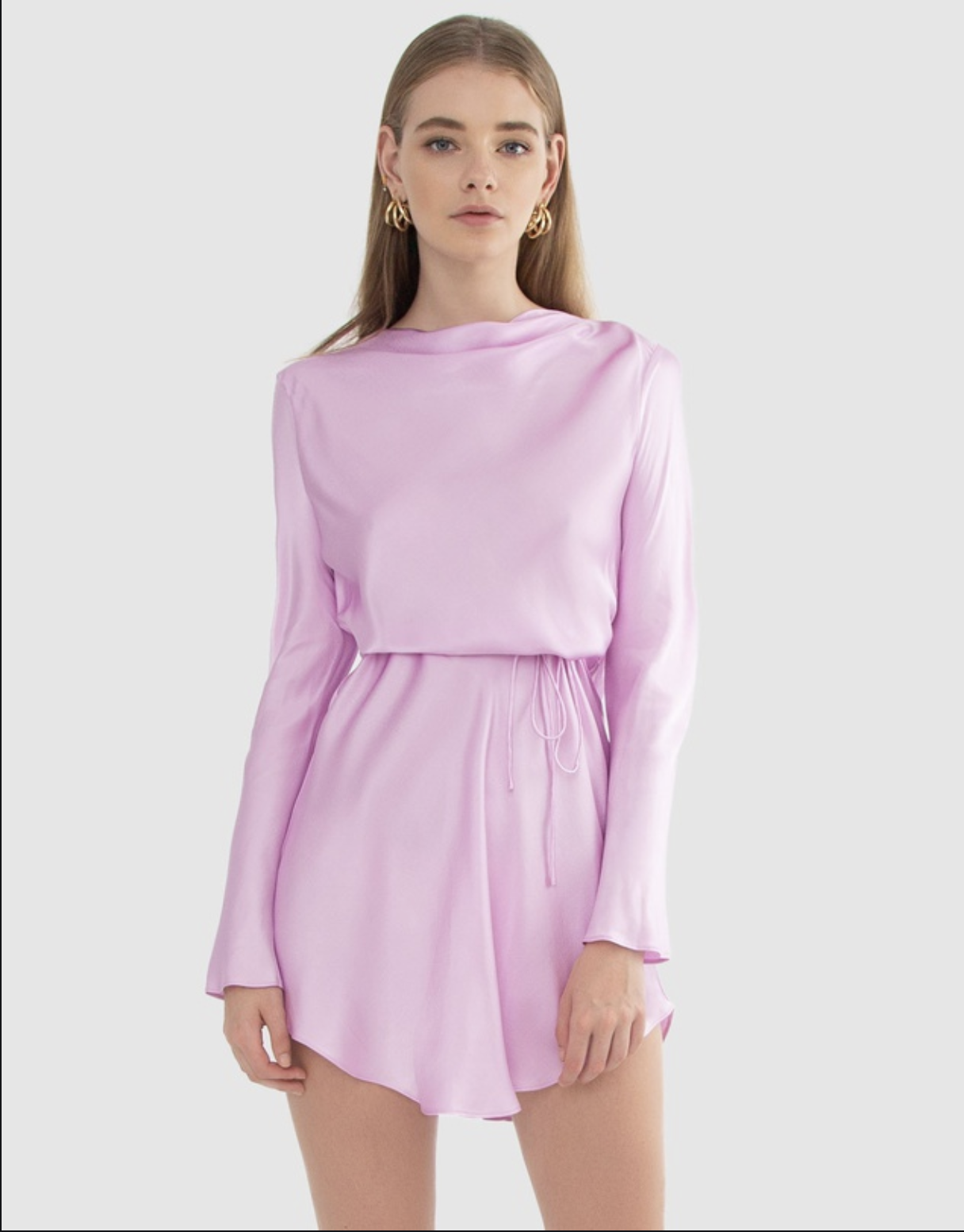 Hire a Purple Carver