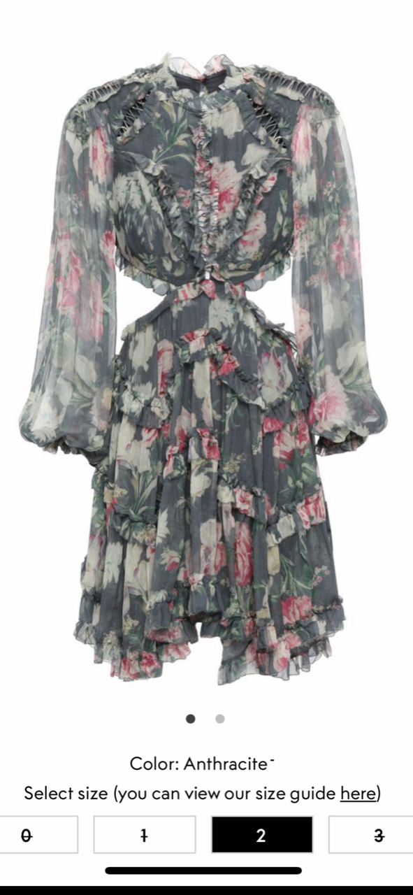 Affordable Zimmermann Cutout Silk Georgette Mini Dress